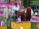 dsc04027.JPG