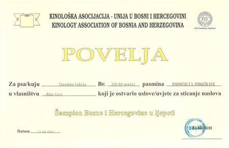 tana_diploma.jpg