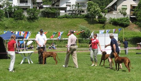 cac_mezaklja2008_1.jpg
